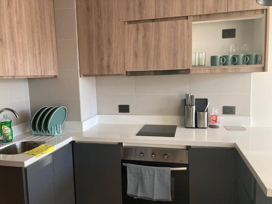 Apartamento Hermoso Y Comodo Departamento. Pucón
