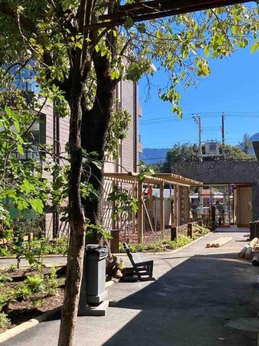 Apartamento Hermoso Y Comodo Departamento. Pucón